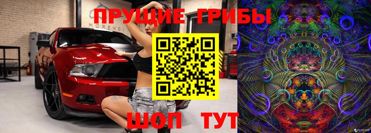 Псилоцибиновые грибы ЛСД Камышин