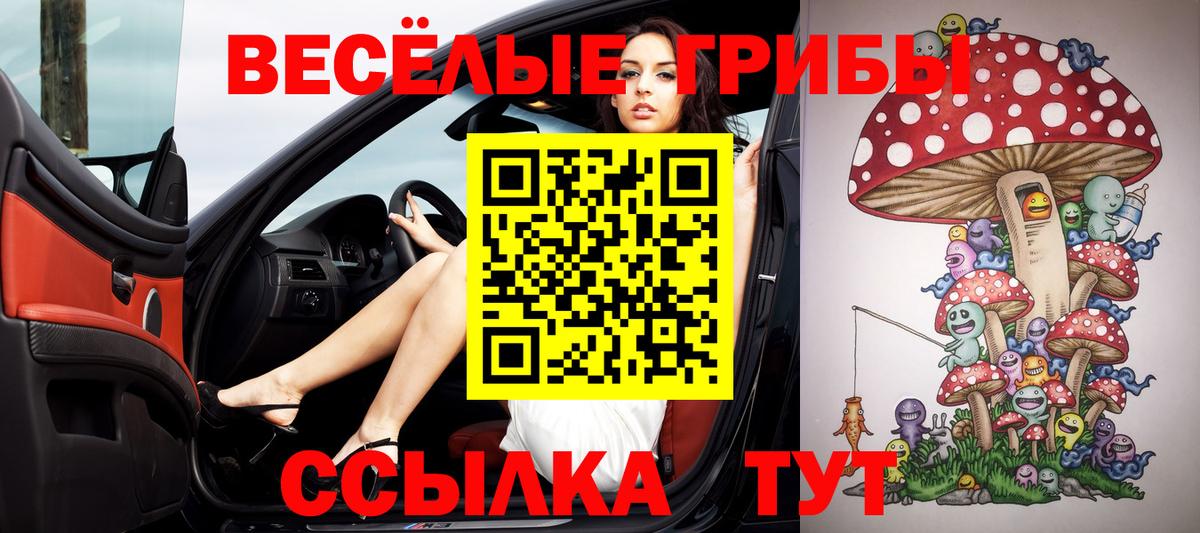 Камышин  Псилоцибиновые грибы Cubensis  Вход с VPN 